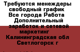 Требуются менеждеры, свободный график - Все города Работа » Дополнительный заработок и сетевой маркетинг   . Калининградская обл.,Светлогорск г.